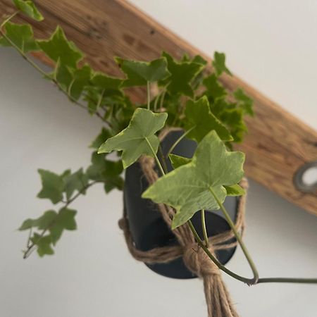 Arnfels Residences Am Tor Zur Suedsteirischen Weinstrasse エクステリア 写真