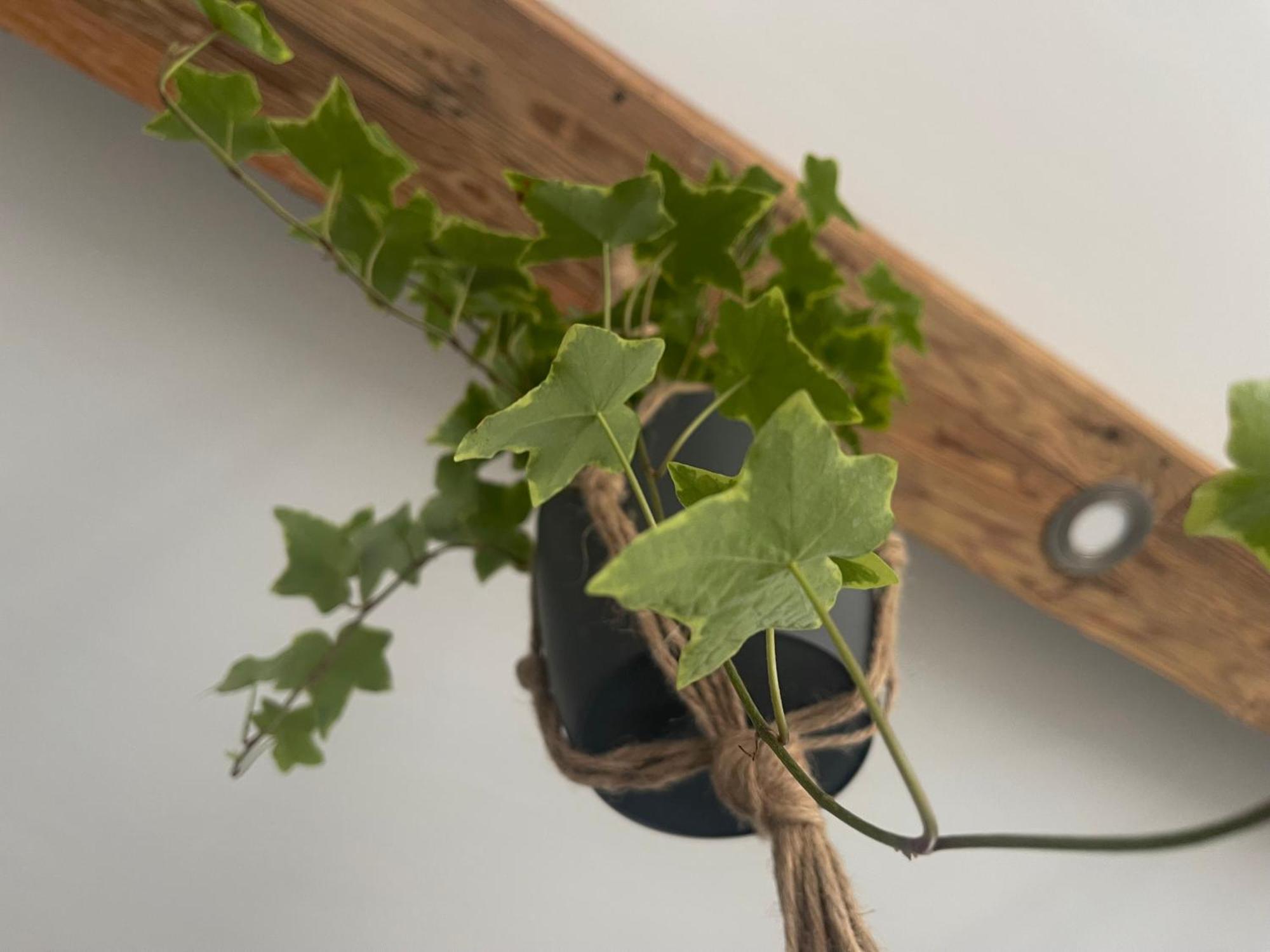Arnfels Residences Am Tor Zur Suedsteirischen Weinstrasse エクステリア 写真
